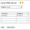 Local DNS server in rel 5.30