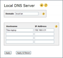 Local DNS server in rel 5.30