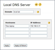 Local DNS server in rel 5.30 