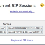 sip_sessions_page.png